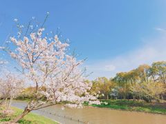 -上海海湾国家森林公园
