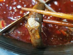 -肥龙火锅(南坪店)