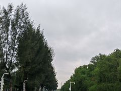 -宝安西湾红树林湿地公园