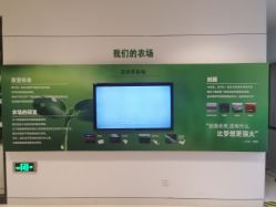 -安利上海体验馆