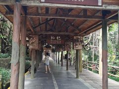 -海南槟榔谷黎苗文化旅游区