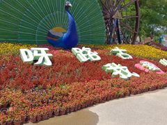 -呀路古热带植物园