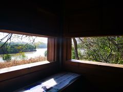 -华侨城湿地公园