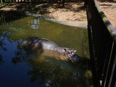 -海南热带野生动植物园