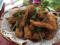 -新素农家蒸菜馆