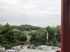 -大兴滨河森林公园