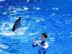 -海合安成都极地海洋公园