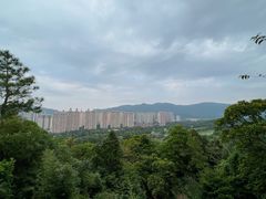 -罗三妹山