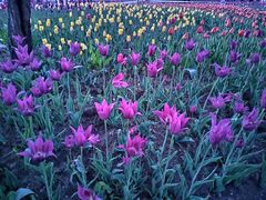 -长春公园(普阳街道)