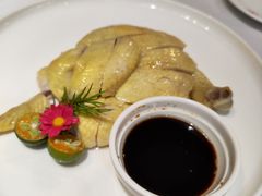 白切竹林鸡-丰收日(五角场店)