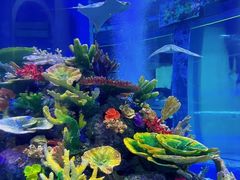 -成都浩海立方海洋公园