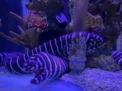 -太平洋海底世界