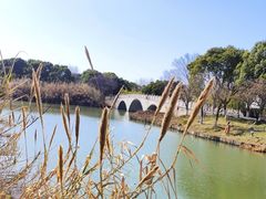-沙家浜风景区