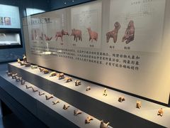 -荆州博物馆