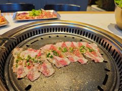 -杨记齐齐哈尔烤肉(总店)