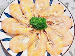 -田螺阿姨自营月嫂·育儿嫂(高新店)