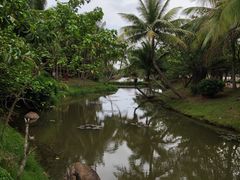 -白沙门生态公园