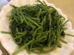 清炒蕨菜-鹤乡东北菜(崮山路店)