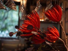 -Ginger(兴国路店)