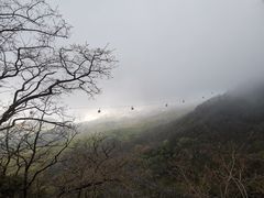 -泰山风景名胜区