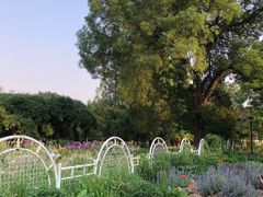 -国家植物园南园