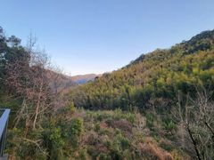 -宁海安岚·南溪阁全日餐厅