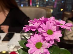 -北京柏悦酒店·锦庭餐厅Dining Room