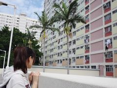-彩虹村