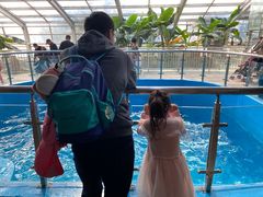 -石家庄市动物园