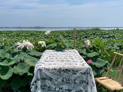 -七的湖·晚芳亭·阳澄湖农家菜·大闸蟹(莲花岛店)