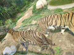 -泉州海丝野生动物世界