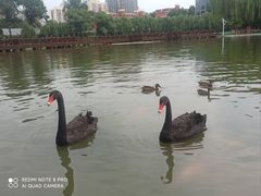 -中国农业博物馆