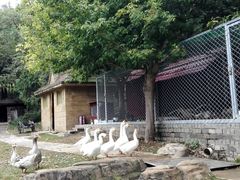 -北京宽沟会议中心