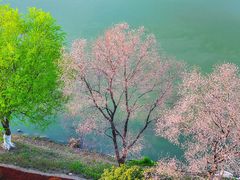 -九里河湿地公园