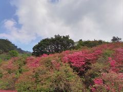 -木兰云雾山