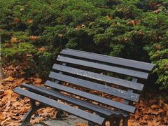 -宜兴龙背山森林公园