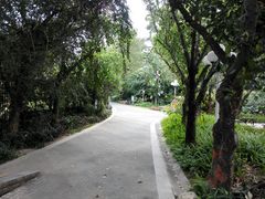 -人民公园(罗湖区)