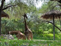 -北京野生动物园