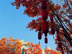 -沈阳方特欢乐世界