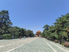 -北陵公园