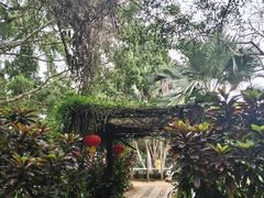 -海南热带野生动植物园