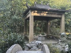 -汇龙潭