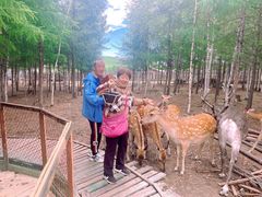 -北极村旅游风景区