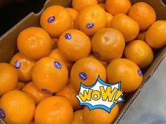 -西郊国际农产品交易中心