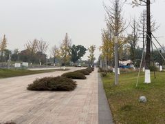 -桂溪生态公园