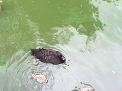 -黔灵山公园-南门售票处