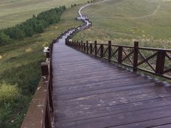 -塞罕坝国家级自然保护区