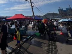 -沙子口大集沙子口海鲜市场