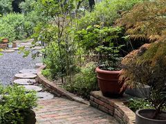 -谷咖啡·鲜花绿植花园餐厅