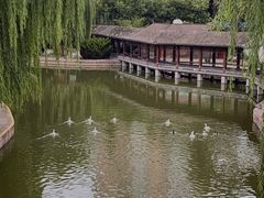 -团结湖公园